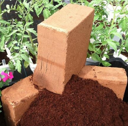 coconut fiber soilless growing media