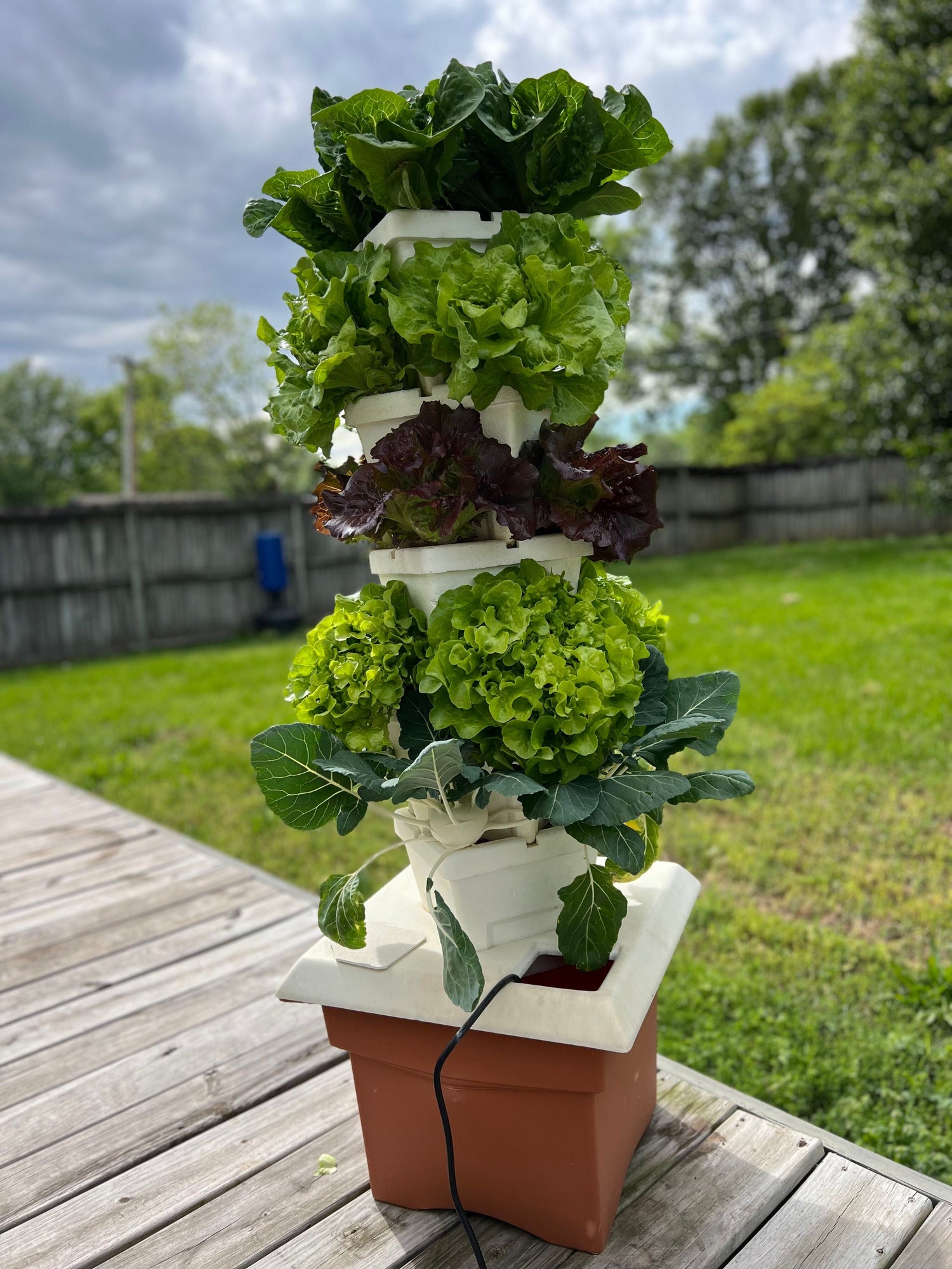 single tower recirculating hydroponic patio garden