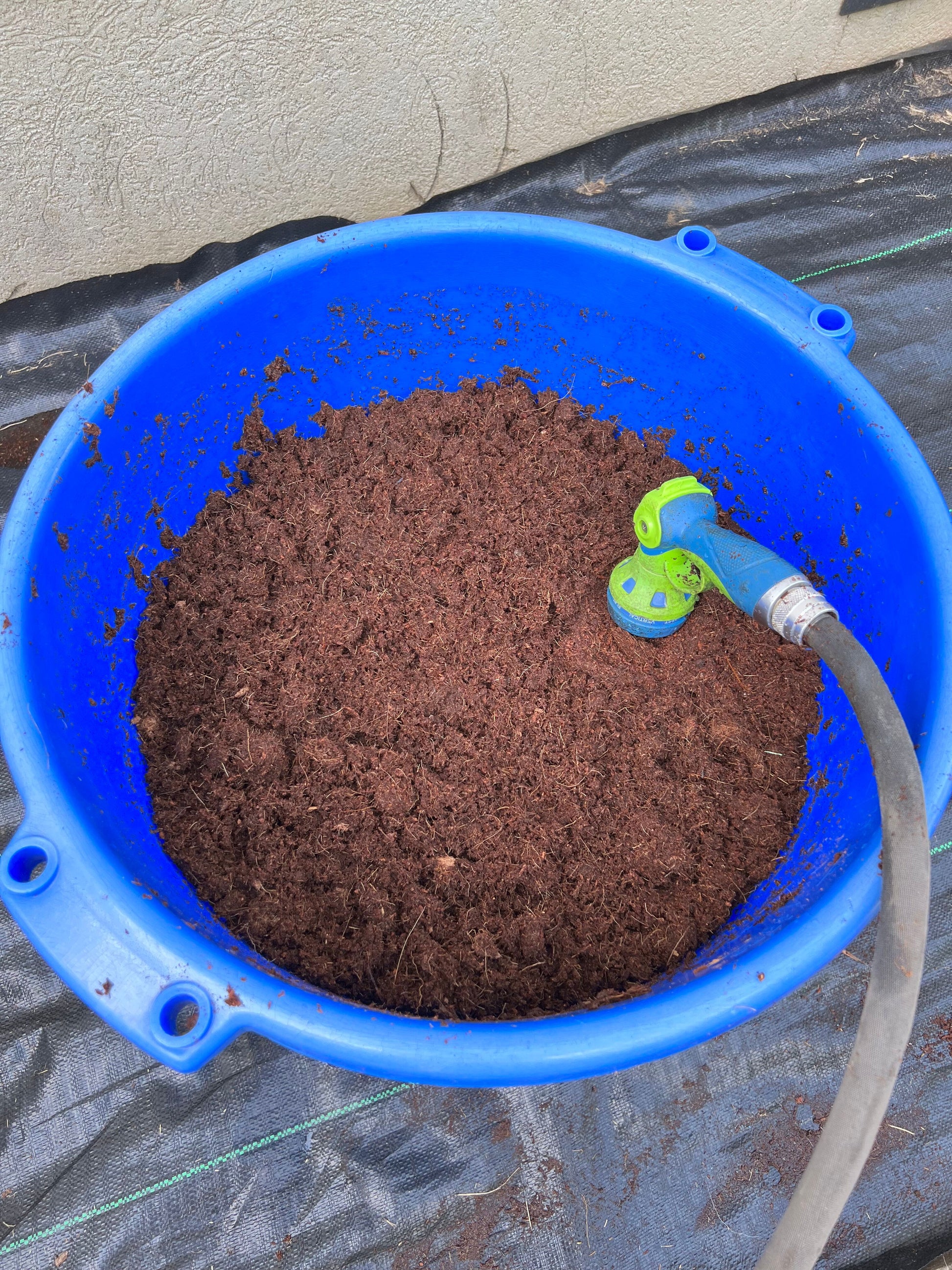 expanding coconut fiber in a plastic bucket