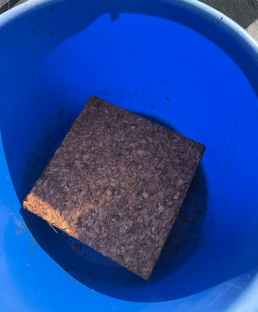 Coconut Coir Chunks