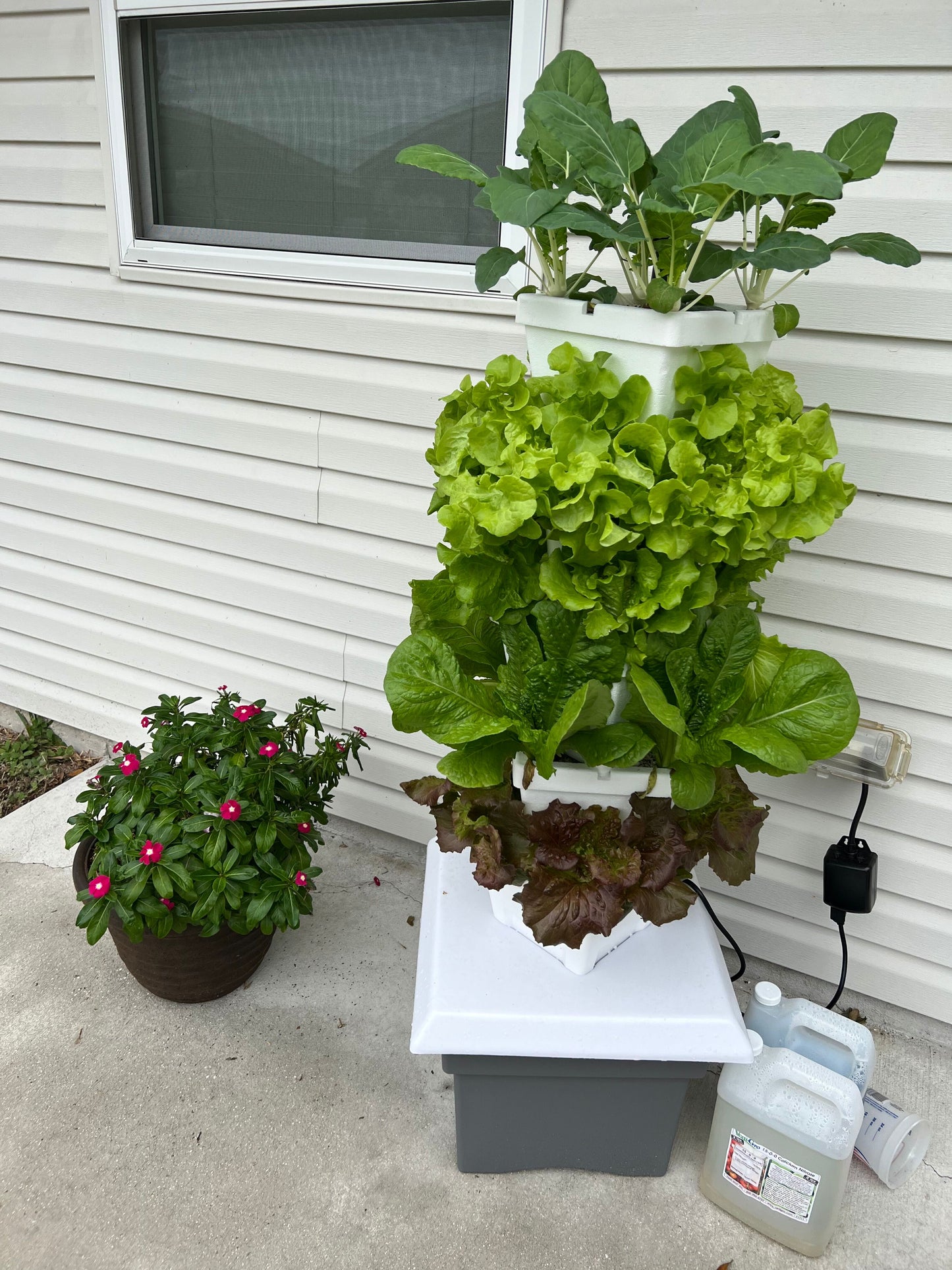 VG-1 planted vertical patio garden porch