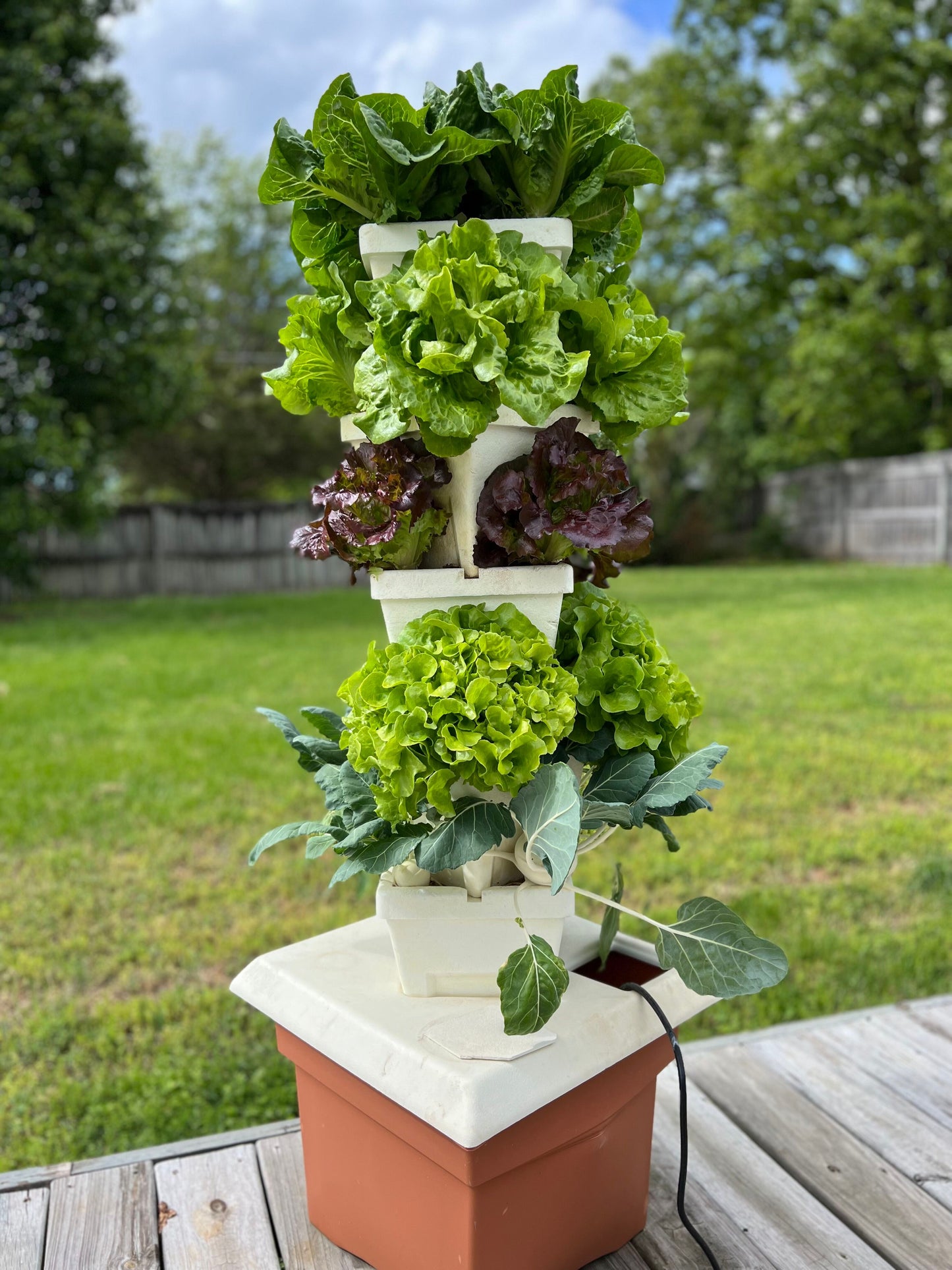 vertical recirculating patio garden with lettuce and kohlrabi