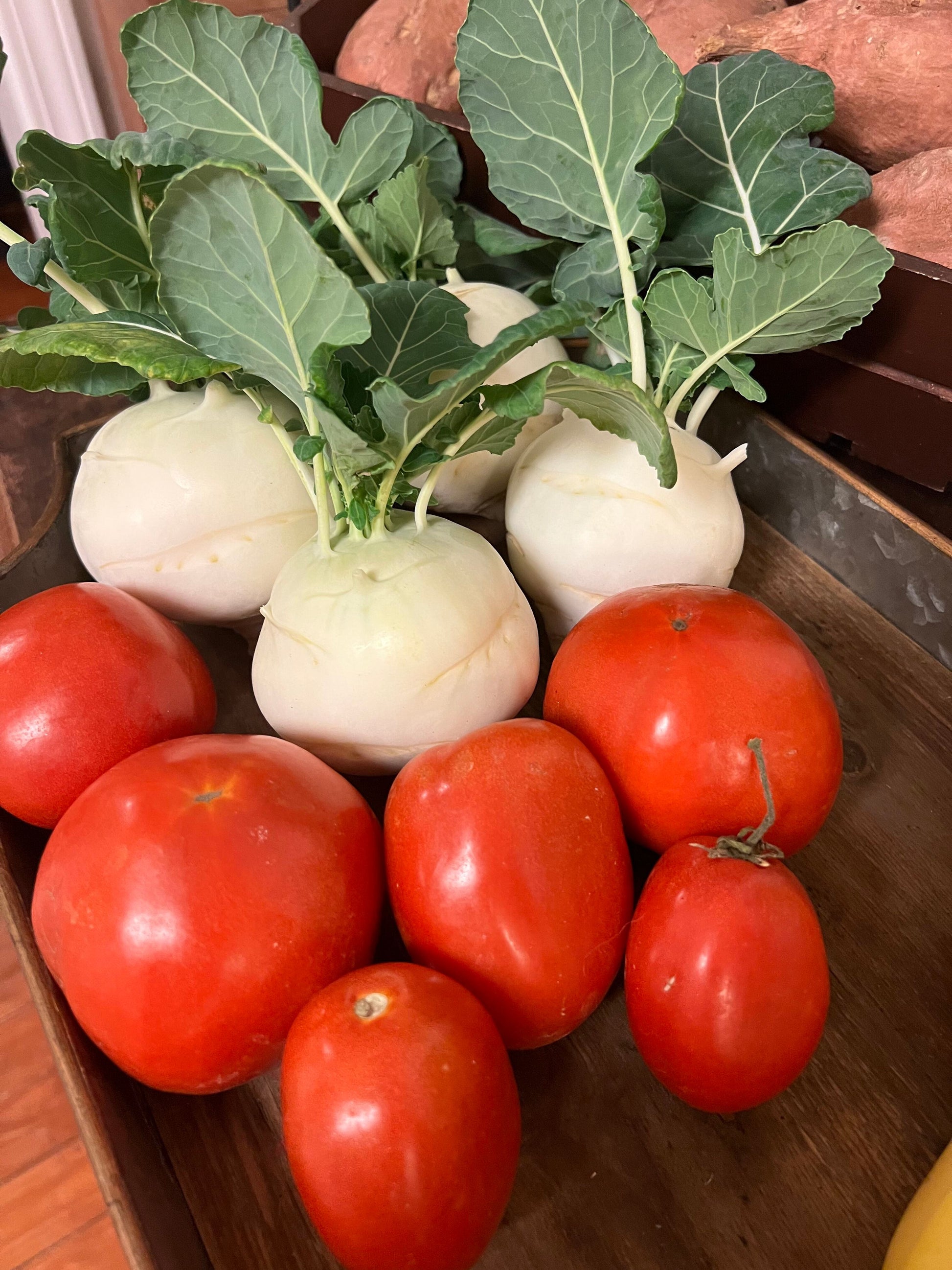 harvested kohlrabi and tomatoes hydroponic fertilizer