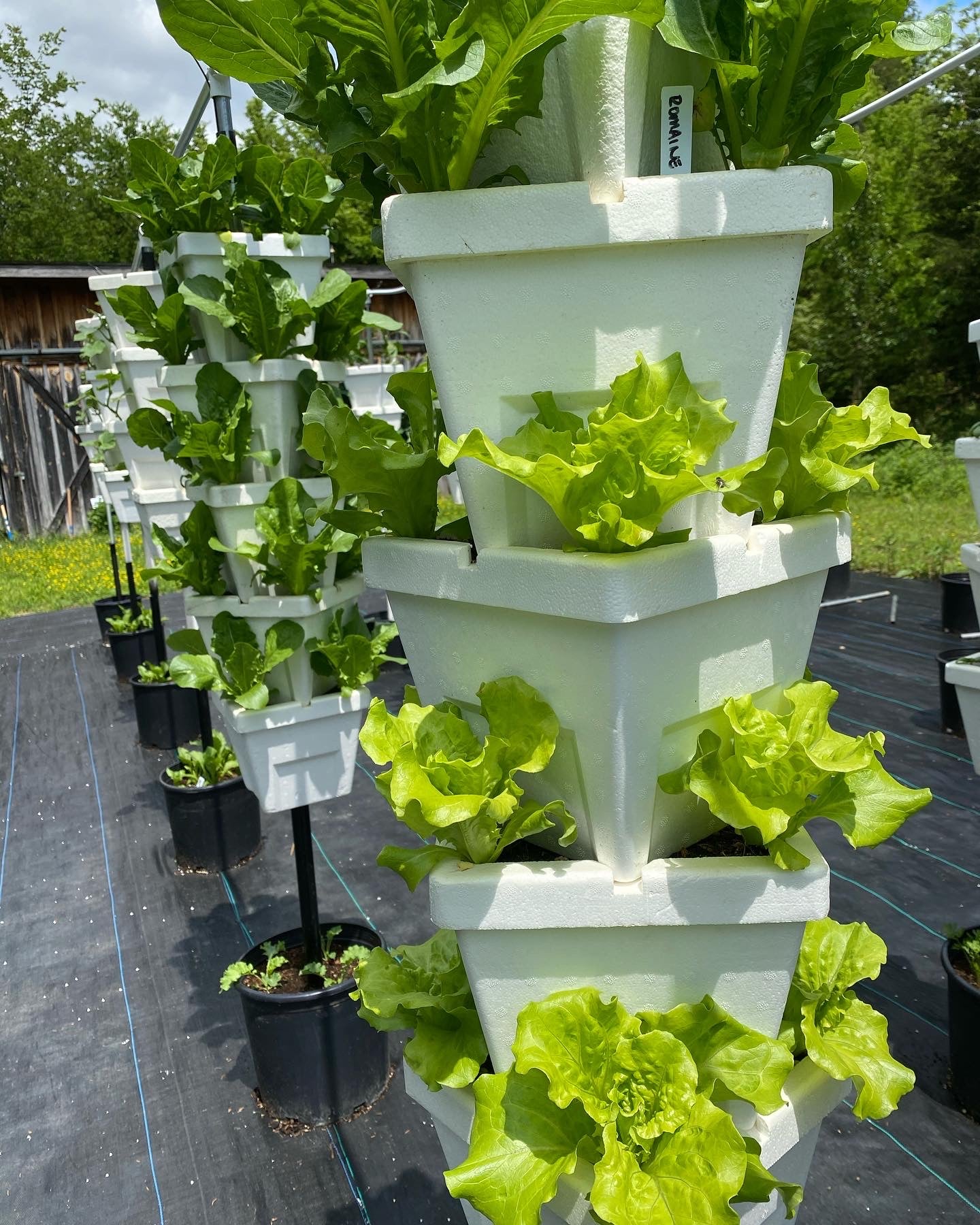 5-tower planted vertical garden 