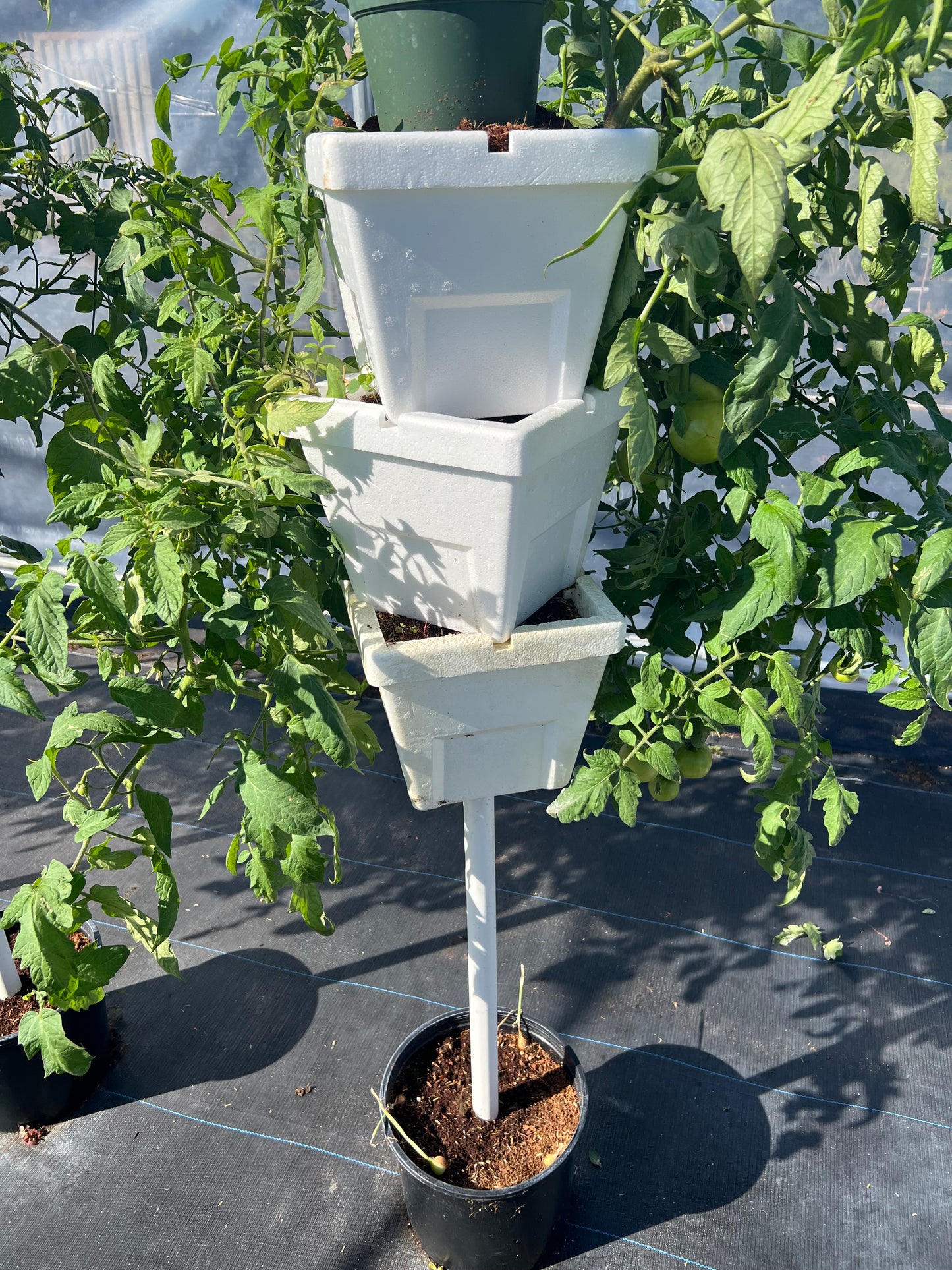 Single Tower Starter Kit