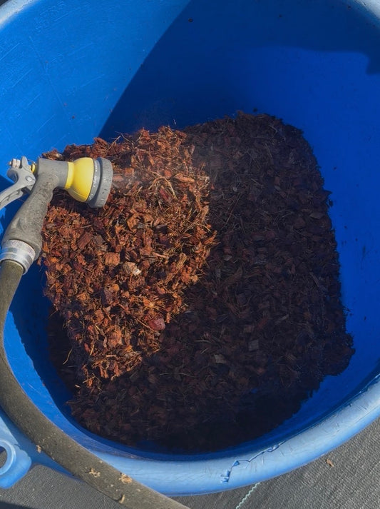 Coconut Coir Chunks