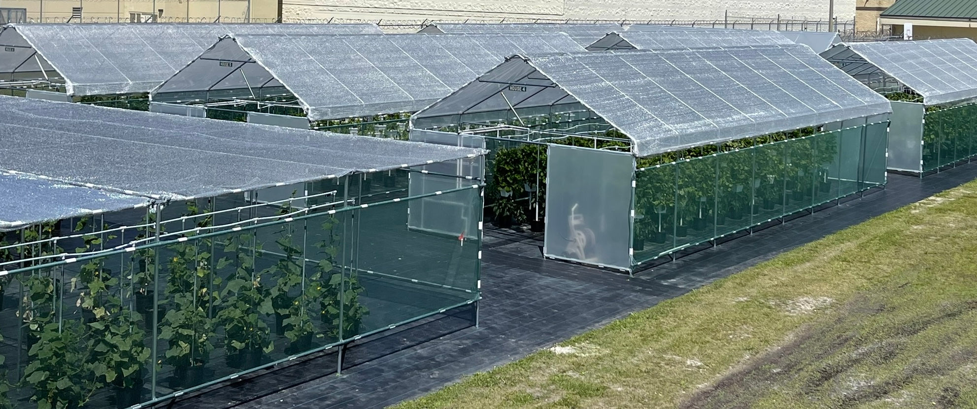 commercial greenhouses, shadehouse and vertical growing system