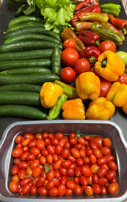 harvested veggie assortment 