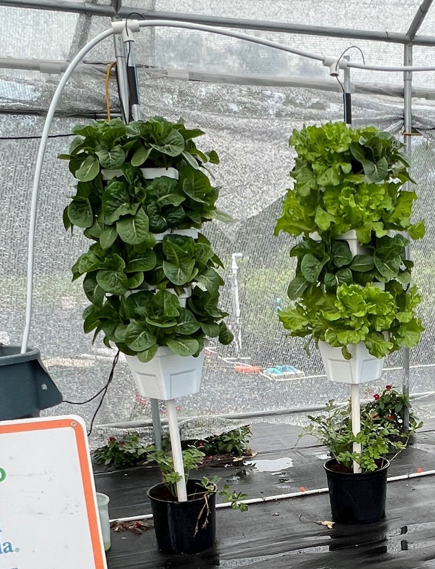 2 tower planted vertical garden VGK-8