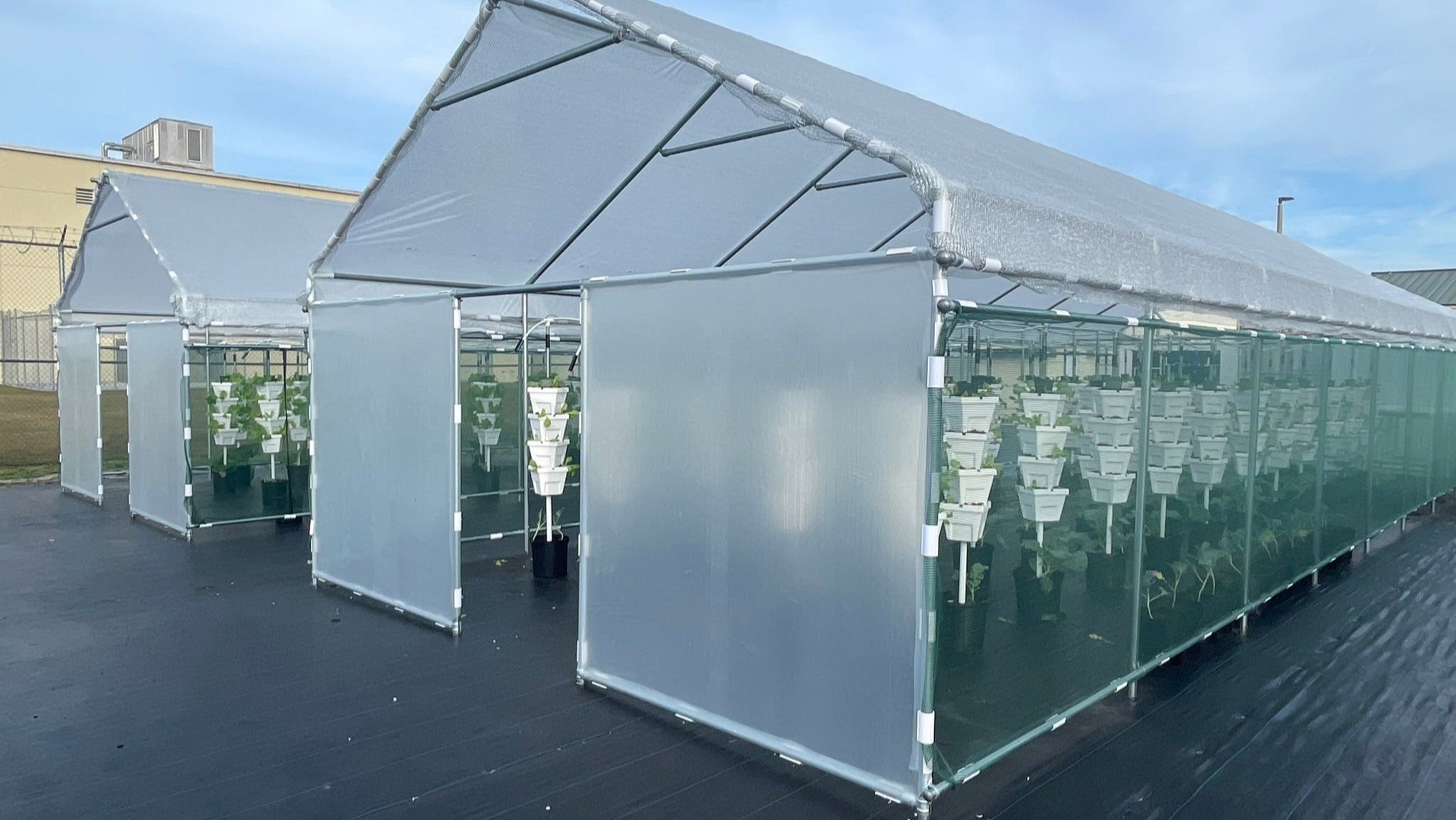 2 Greenhouses with vertical growing system 